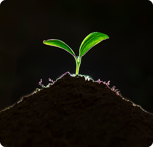 Growth Acceleration