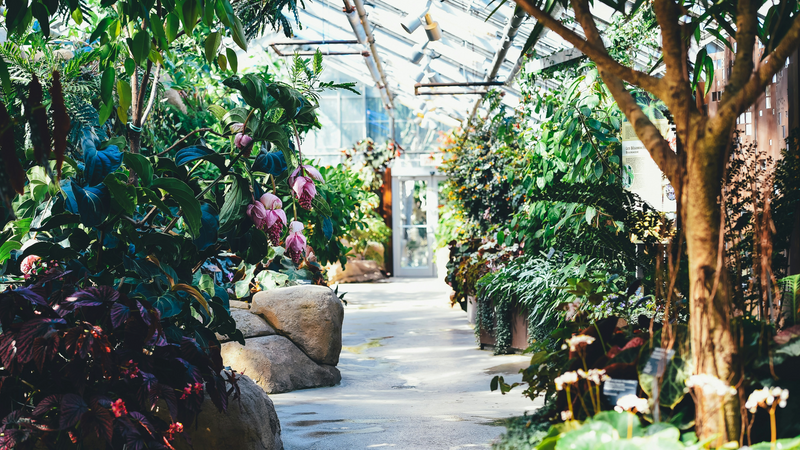 Case Study - Bents Garden Centre